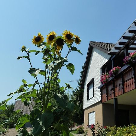 Blumenwiese Weilheim Exterior foto