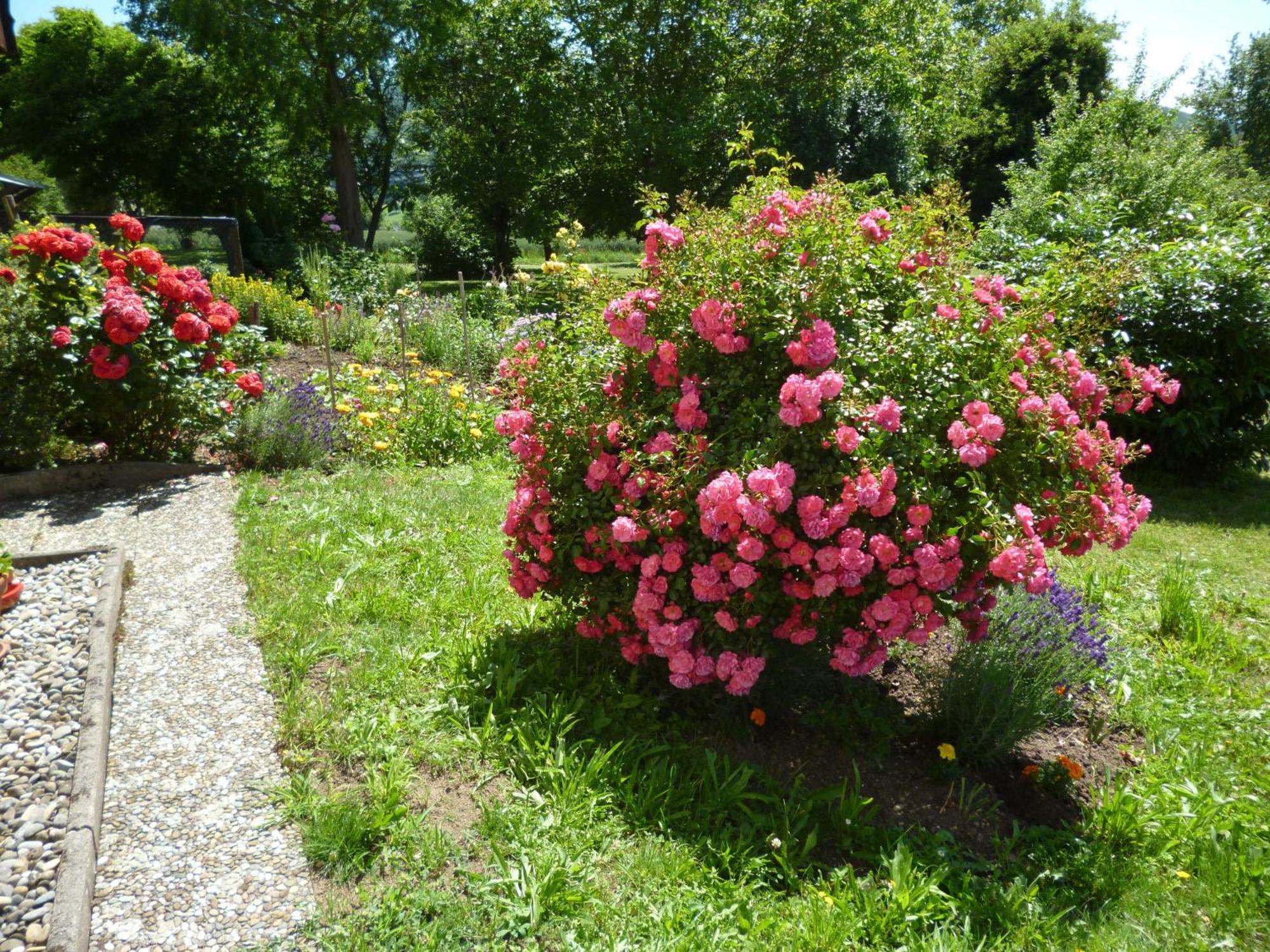 Blumenwiese Weilheim Exterior foto